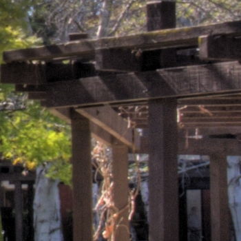 multiple exposure building